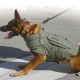 Gilet pare balles pour chien